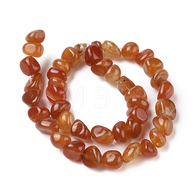 Natural Agate Beads Strands G-L560-M10-1