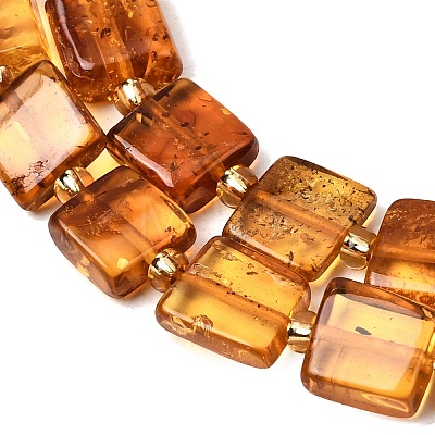 Natural Amber Beads Strands G-C260-A01-06-1