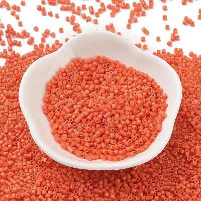 Baking Paint Glass Seed Beads X-SEED-S042-05B-84-1