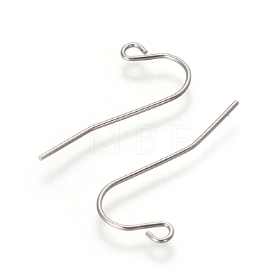 304 Stainless Steel Earring Hooks STAS-I101-55P-1