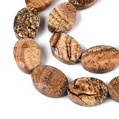 Natural Picture Jasper Beads Strands G-S354-13x18-A06-1