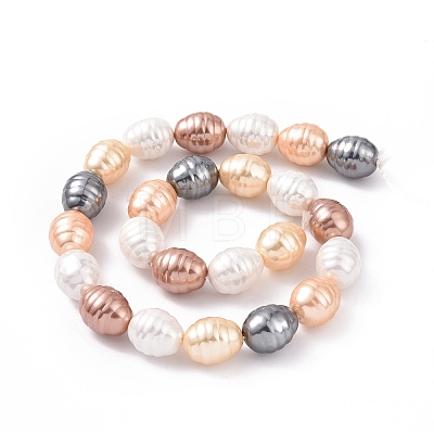 Electroplate Shell Pearl Beads Strands BSHE-O019-02G-1