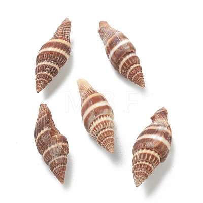 Natural Spiral Shell Beads BSHE-H015-08-1
