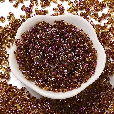 Spray Painted Glass Seed Beads SEED-F005-03A-01-1