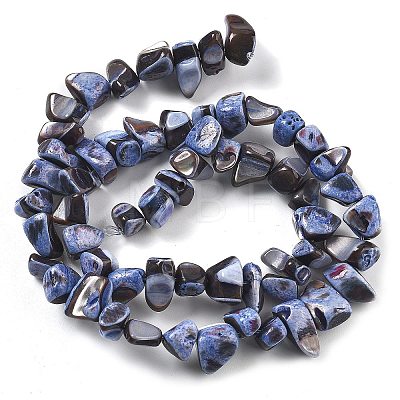 Dyed Natural Trochus Shell Beads Strands BSHE-Z006-01C-1