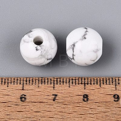 Natural Howlite Beads G-Q602-08C-07-1