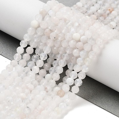 Natural Rainbow Moonstone Beads Strands G-P500-01C-01A-1