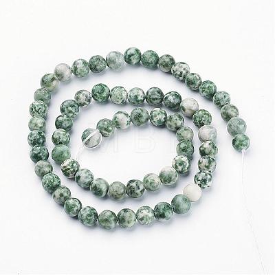 Gemstone Beads Strands GSR6mmC006-1