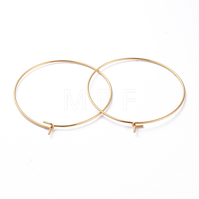 316 Surgical Stainless Steel Hoop Earring Findings LS-STAS-J025-01E-G-1