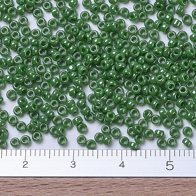 MIYUKI Round Rocailles Beads SEED-G007-RR0431-1