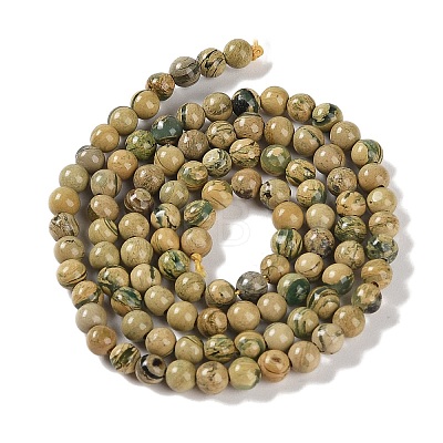 Natural Verdite Stone Beads Strands G-P530-B07-01-1
