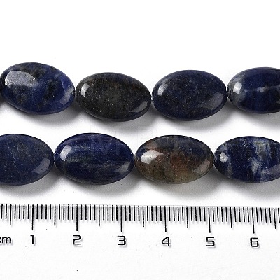 Natural Sodalite Beads Strands G-L164-A-20-1