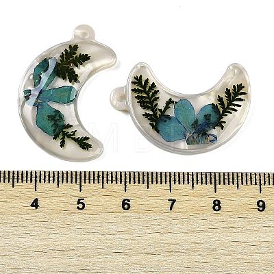 Epoxy Resin Pendants RESI-S09-01A-RS-1