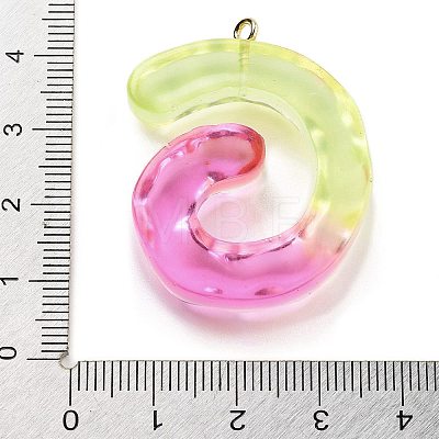 Resin Pendant FIND-Q107-01G-04-1