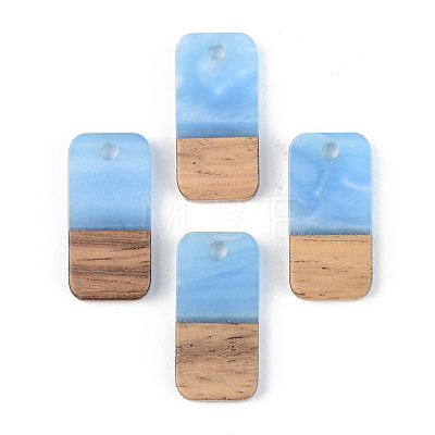 Resin & Walnut Wood Pendants RESI-S389-044A-1