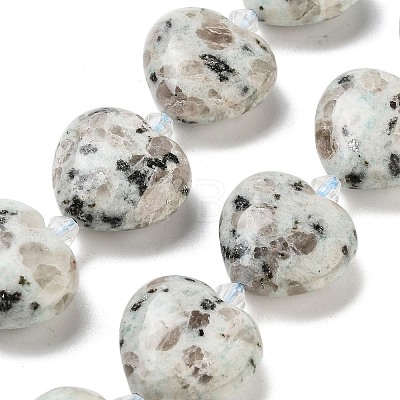 Natural Sesame Jasper Beads Strands G-C150-A20-01-1