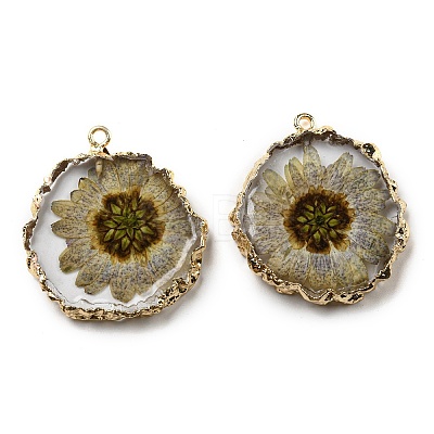 Inner Dried Flower Resin Pendants RESI-P028-02KCG-05-1