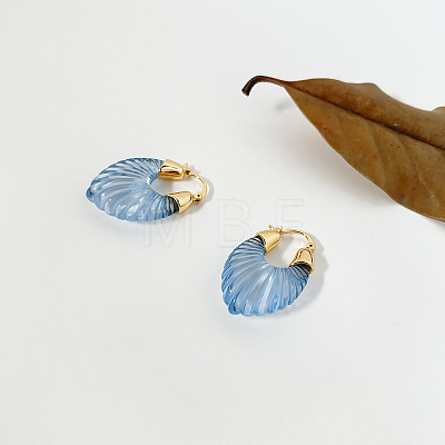 Resin & Brass Hoop Earrings WGAB1C5-01-1