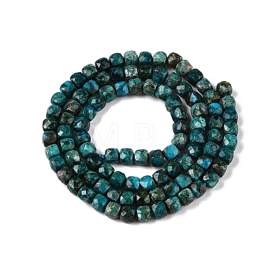 Natural Chrysocolla Beads Strands G-N342-117-1