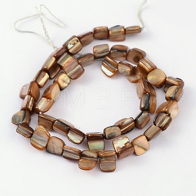 Shell Beads Strands PBB052Y-1