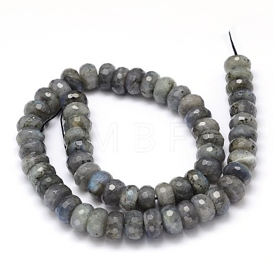 Natural Labradorite Rondelle Bead Strands G-O095-05-G-1