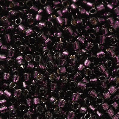 Glass Seed Beads X-SEED-S042-04B-30-1