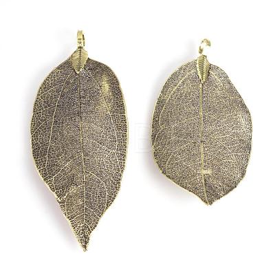 Electroplated Natural Leaf Big Pendants IFIN-Q119-01F-1