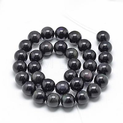 Natural Obsidian Beads Strands G-R446-16mm-27-1