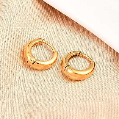 316 Surgical Stainless Hoop Earrings EJEW-C160-06B-G-1