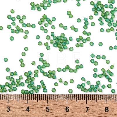 TOHO Round Seed Beads X-SEED-TR11-0167BF-1