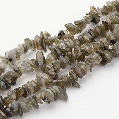 Natural Labradorite Chips Beads Strands X-F069-1