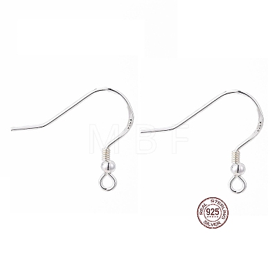 925 Sterling Silver Earring Hooks STER-K167-050S-1