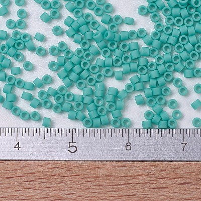 MIYUKI Delica Beads X-SEED-J020-DB0759-1