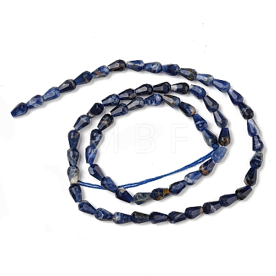 Natural Sodalite Beads Strands G-C080-B05-01-1