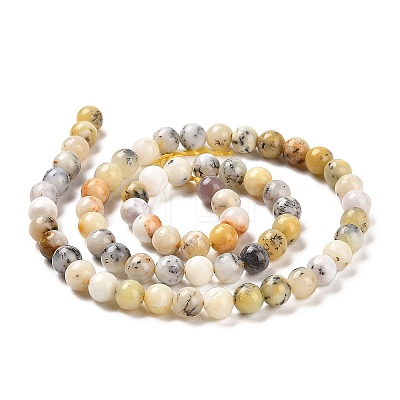 Natural African Opal Beads Strands G-B048-B03-01-1