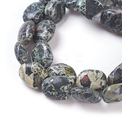 Natural Serpentine Beads Strands G-I231-01-1
