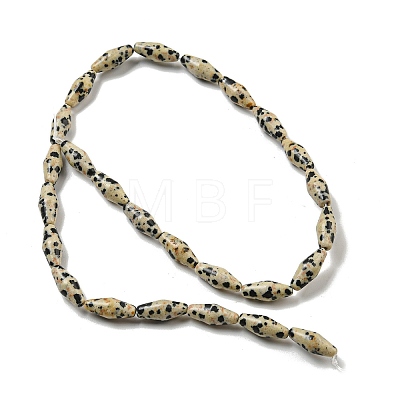 Natural Dalmatian Jasper Beads Strands G-A223-A08-01-1