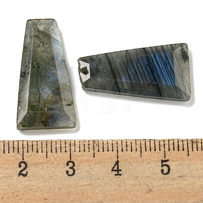 Natural Labradorite Pendants G-G123-02D-1