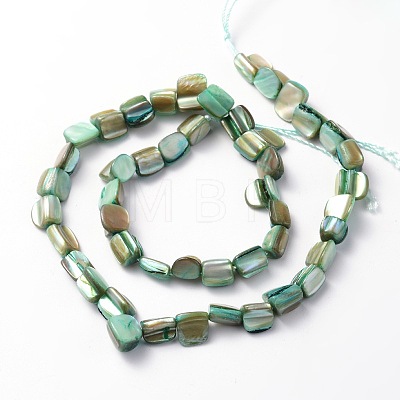 Irregular Natural Sea Shell Beads Strands SSHEL-X0001-1
