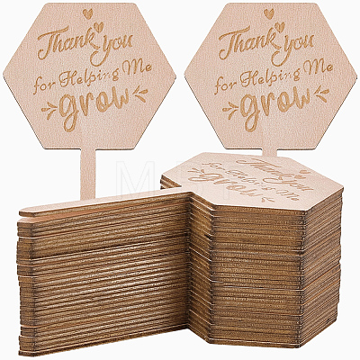 30Pcs Wooden Plant Labels DIY-GF0014-19B-1
