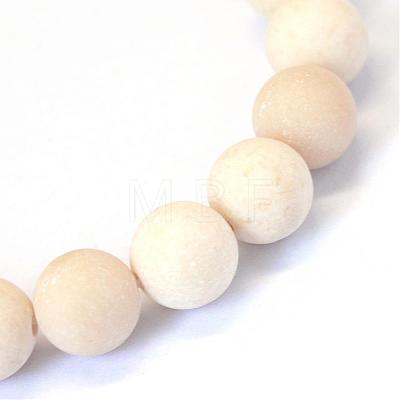 Frosted Natural Fossil Round Bead Strands G-E334-8mm-22-1