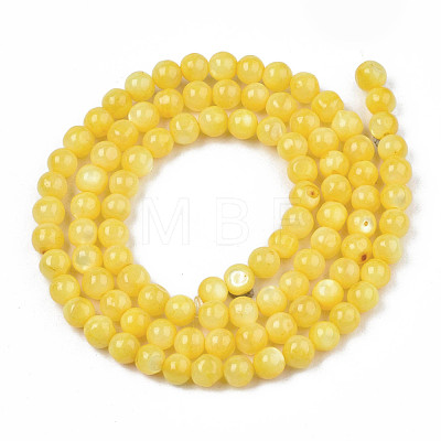 Natural Freshwater Shell Beads Strands SHEL-N003-24-B08-1