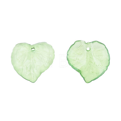 Transparent Acrylic Pendants DBLA410-10-1