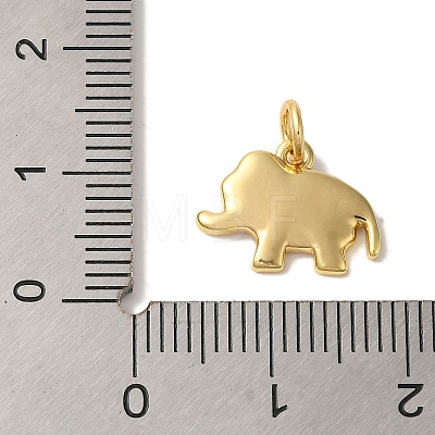 Rack Plating Brass Enamel Charms KK-L220-024G-02-1