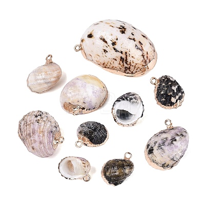 Electroplate Natural Spiral Shell Pendants SSHEL-Q100-41G-1