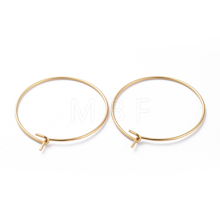 316 Surgical Stainless Steel Hoop Earring Findings X-STAS-J025-01C-G-1