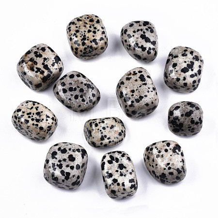 Natural Dalmatian Jasper Beads G-N332-012-1