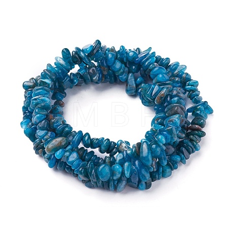 Natural Apatite Beads Strands G-P427-02-1