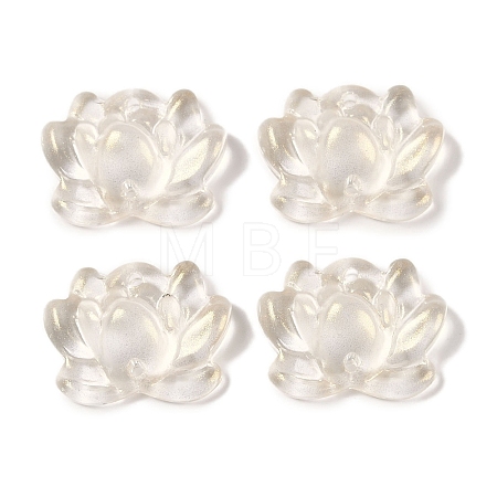 Baking Paint Glass Beads GLAA-S202-13F-1