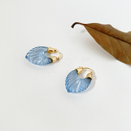 Resin & Brass Hoop Earrings WGAB1C5-01-1